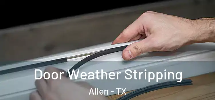 Door Weather Stripping Allen - TX