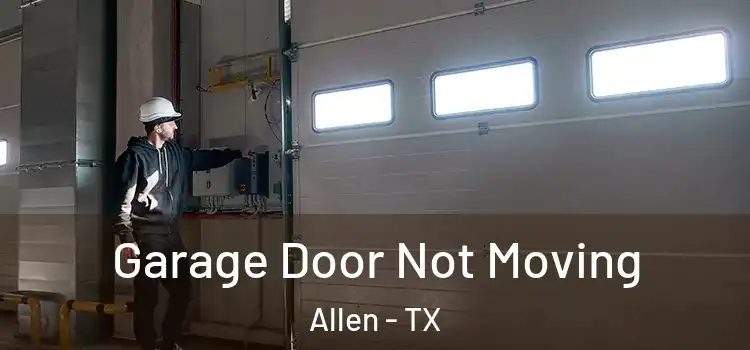  Garage Door Not Moving Allen - TX